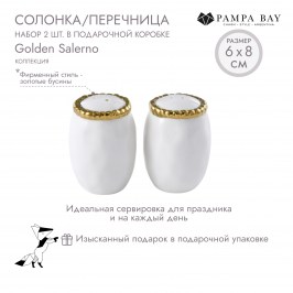 Набор солонка/перечница в подарочной коробке Golden Salerno CER2616WG